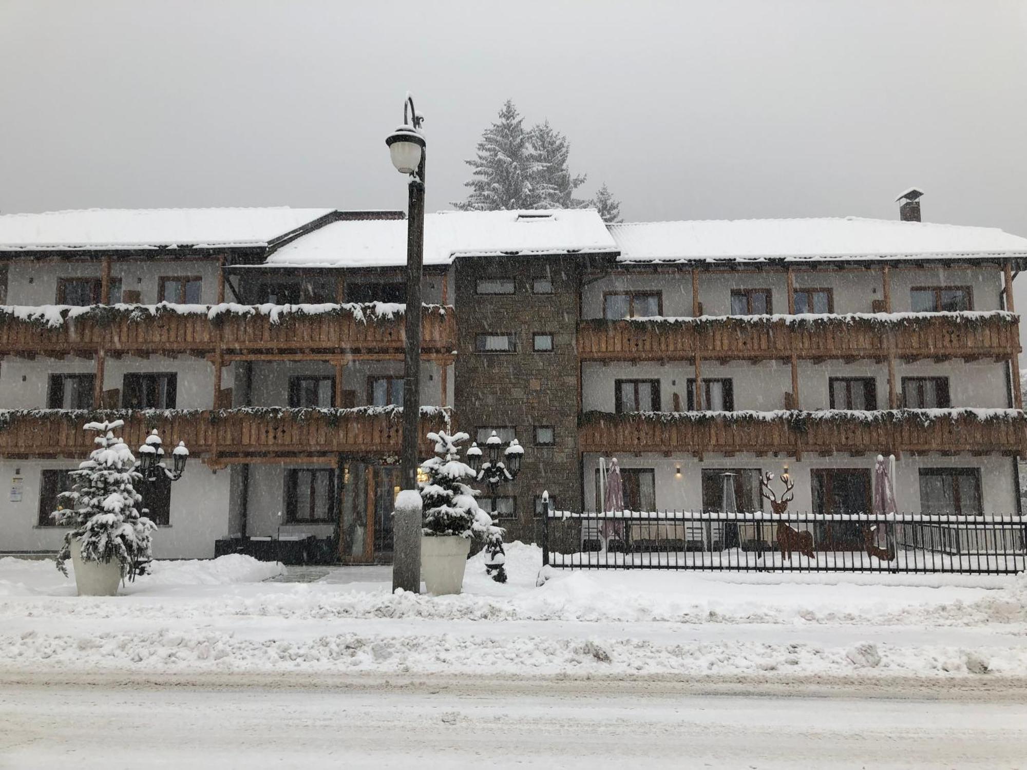 Olympic Regina Hotel Pinzolo Εξωτερικό φωτογραφία